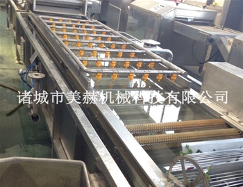 大棗氣泡清洗機